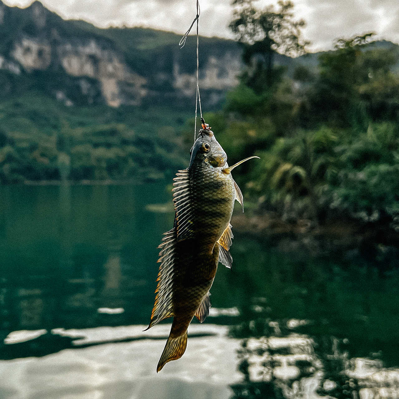 随拍”2024年飞云集摄影作品展示（图ZMzgzMjIzNzQ0） - 人文/纪实摄影 - 站酷设计师城南旧事yfy原创素材 - 站酷ZCOOL