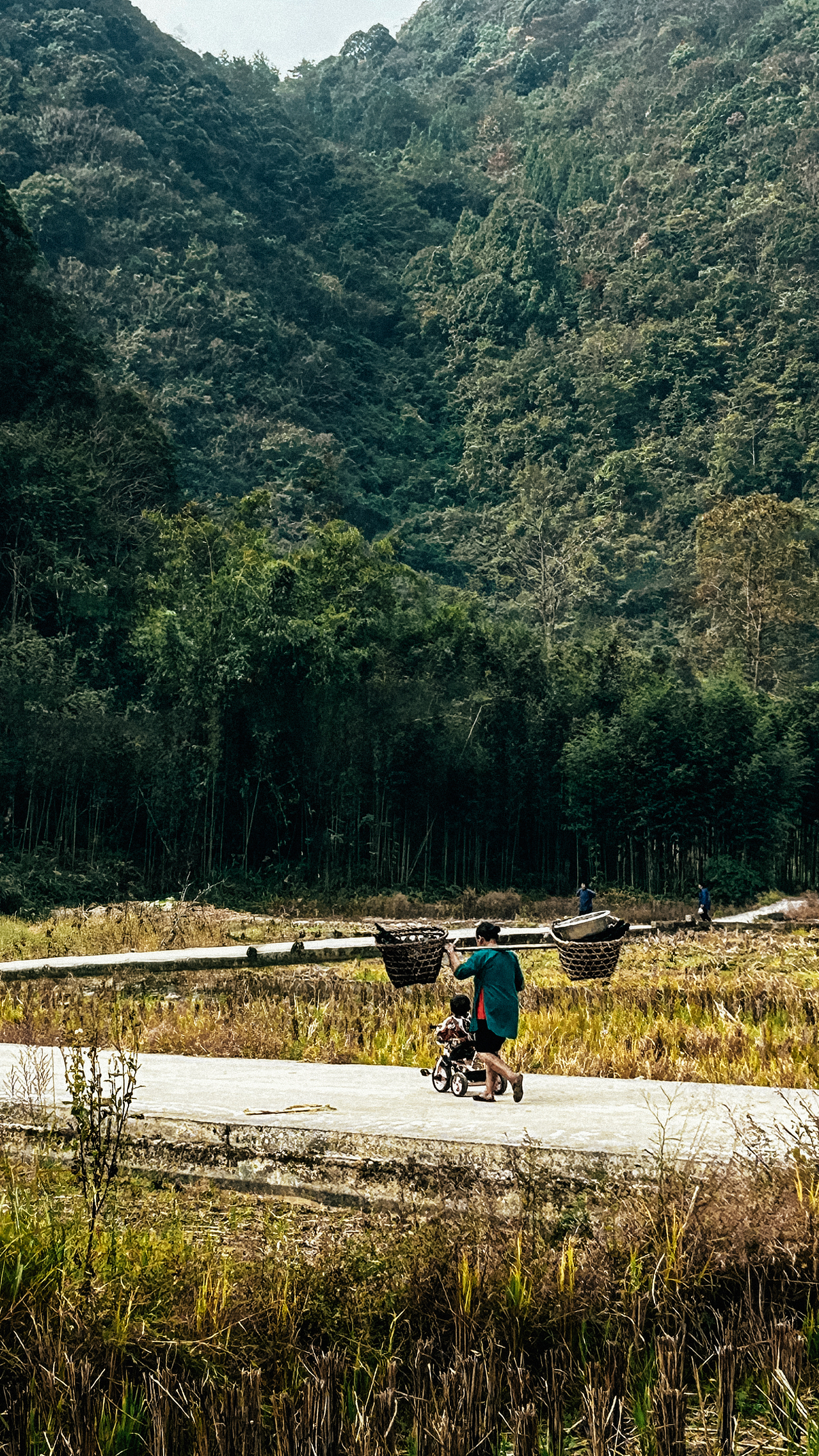 随拍”2024年飞云集摄影作品展示（图ZMzgzMjIzOTUy） - 人文/纪实摄影 - 站酷设计师城南旧事yfy原创素材 - 站酷ZCOOL