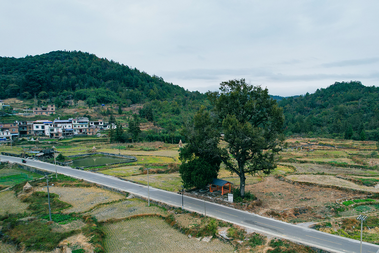 随拍”2024年飞云集摄影作品展示（图ZMzgzMjI0MDA4） - 人文/纪实摄影 - 站酷设计师城南旧事yfy原创素材 - 站酷ZCOOL