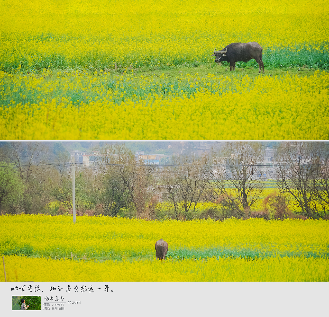 随拍”2024年飞云集摄影作品展示（图ZMzgzMjI0MDE2） - 人文/纪实摄影 - 站酷设计师城南旧事yfy原创素材 - 站酷ZCOOL