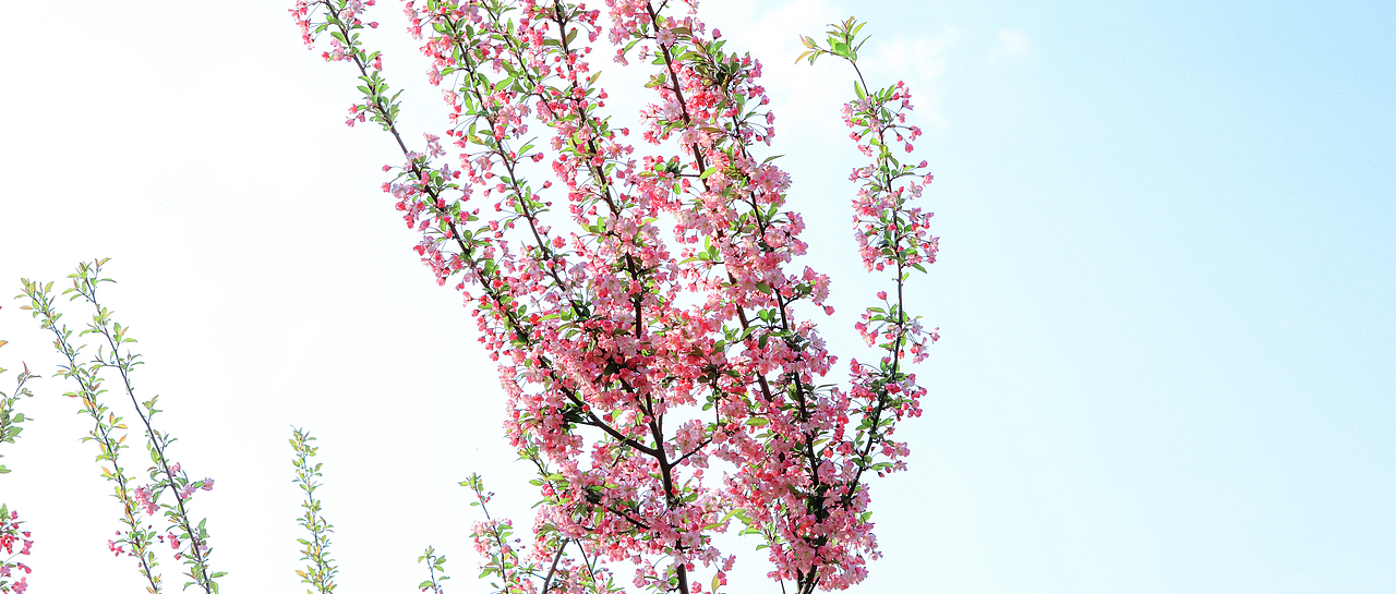 随拍”2024年飞云集摄影作品展示（图ZMzgzMjI0MTAw） - 人文/纪实摄影 - 站酷设计师城南旧事yfy原创素材 - 站酷ZCOOL