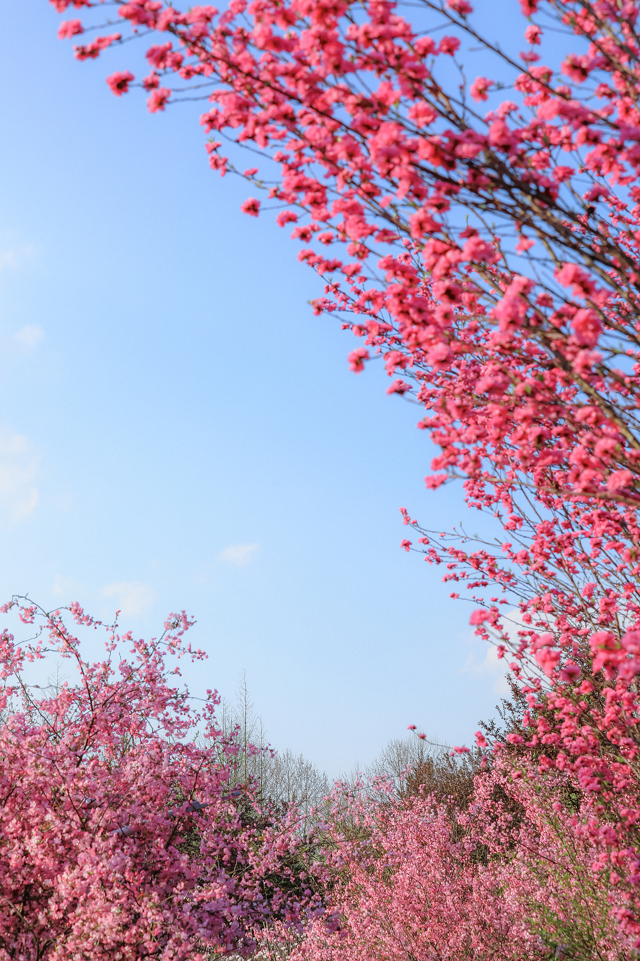 随拍”2024年飞云集摄影作品展示（图ZMzgzMjI0MDg4） - 人文/纪实摄影 - 站酷设计师城南旧事yfy原创素材 - 站酷ZCOOL