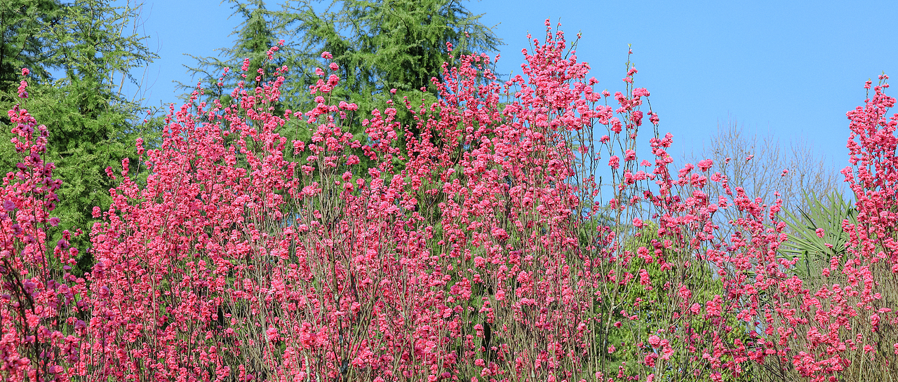 随拍”2024年飞云集摄影作品展示（图ZMzgzMjI0MDg0） - 人文/纪实摄影 - 站酷设计师城南旧事yfy原创素材 - 站酷ZCOOL