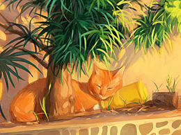 小猫练习
