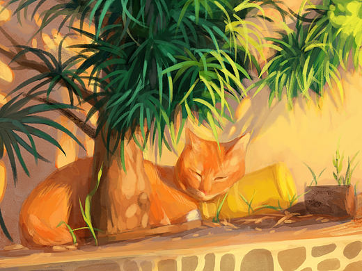 小猫练习