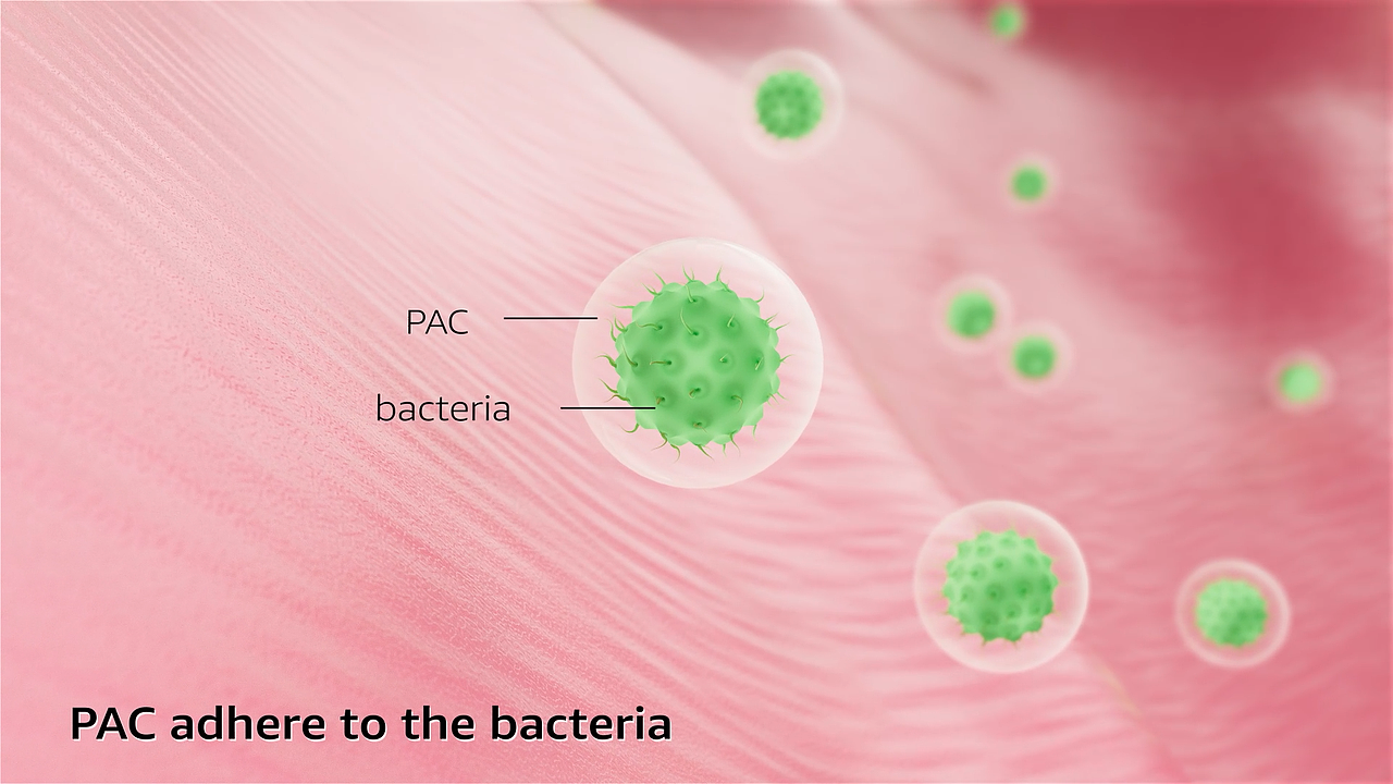 蔓越莓保健品-三维视频渲染