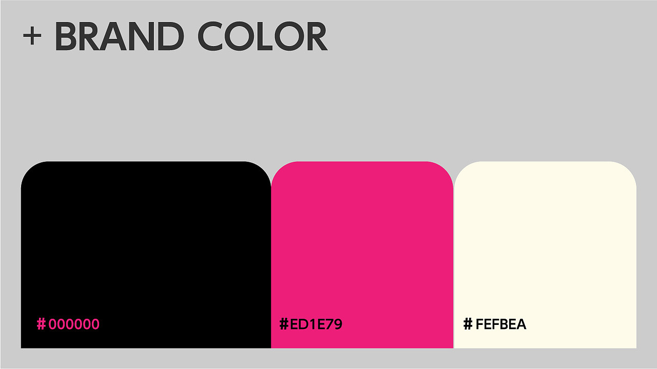 Bunny Rabbit|品牌视觉设计