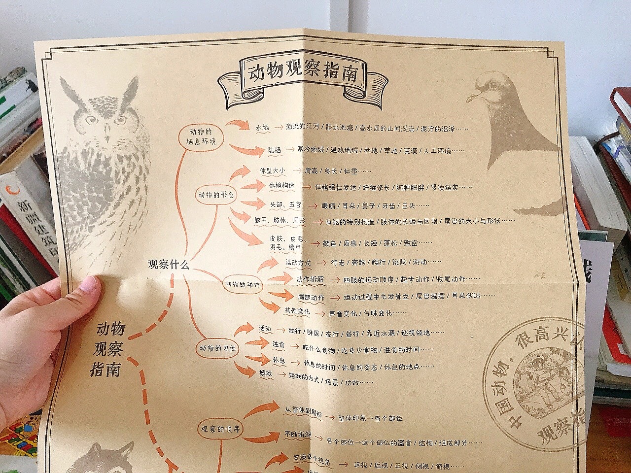 科普绘本《中国动物》（图ZMzgzMjU1MDAw） - 绘本 - 站酷设计师都大笑而不语原创素材 - 站酷ZCOOL