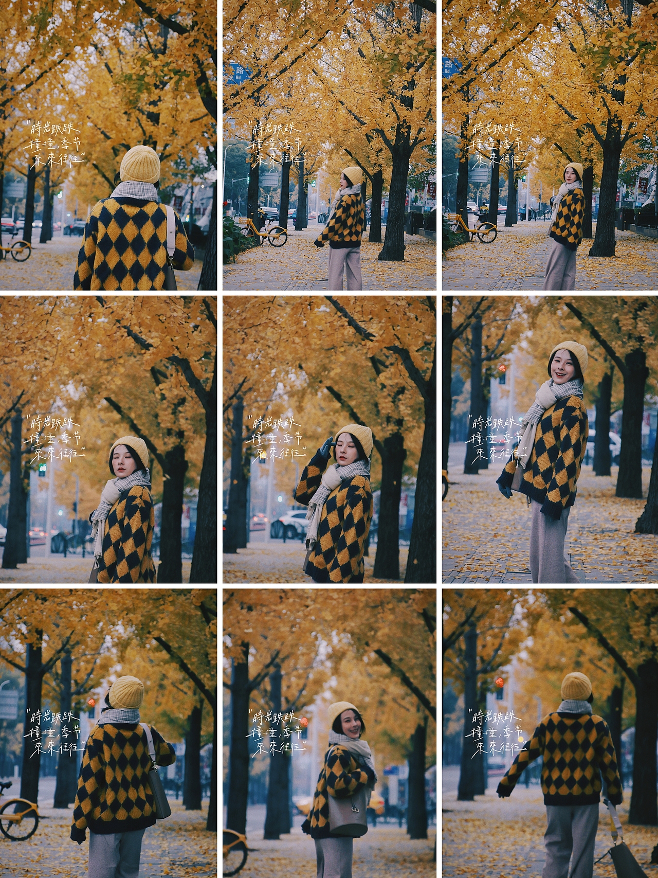 深秋的银杏大道