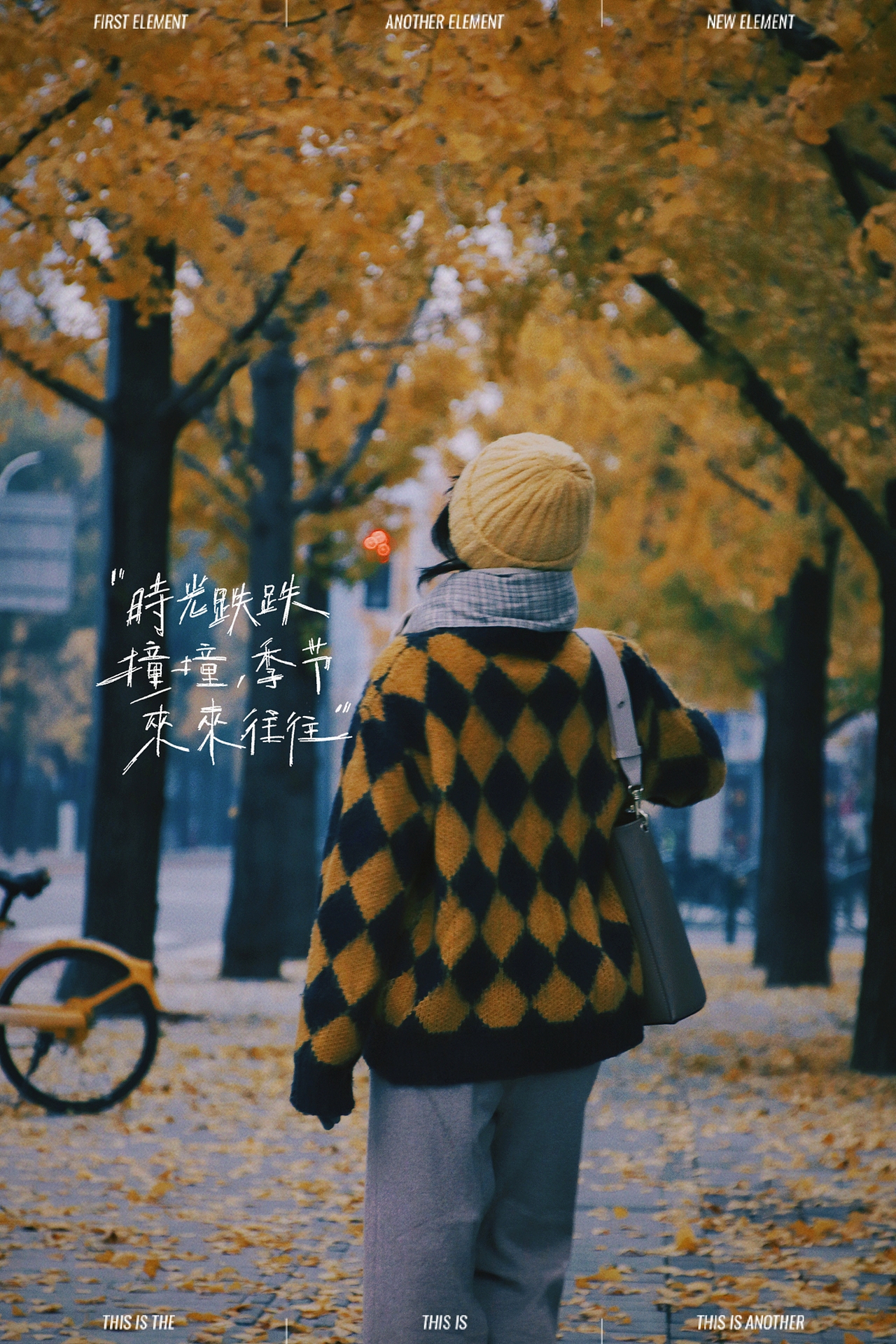 深秋的银杏大道