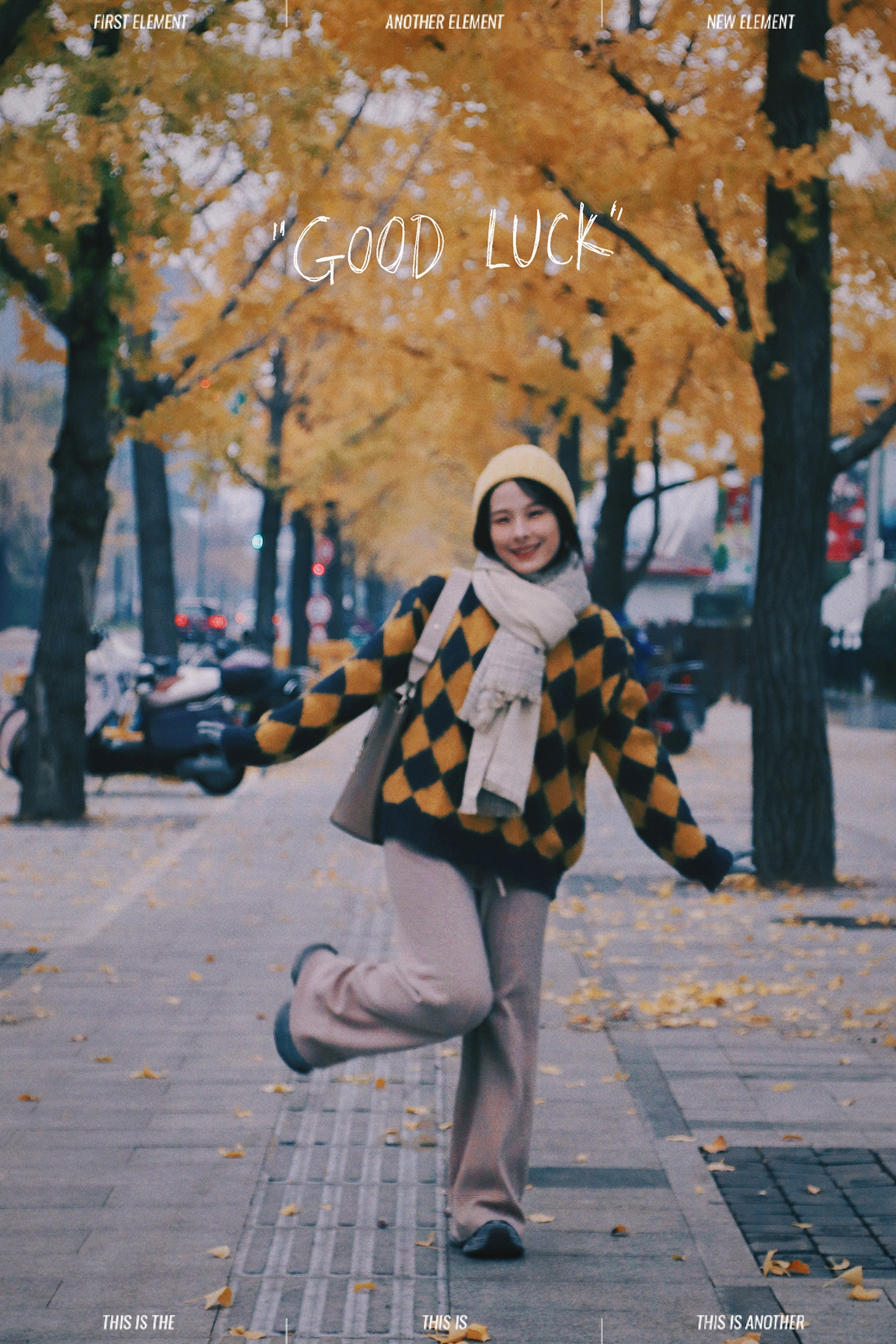 深秋的银杏大道