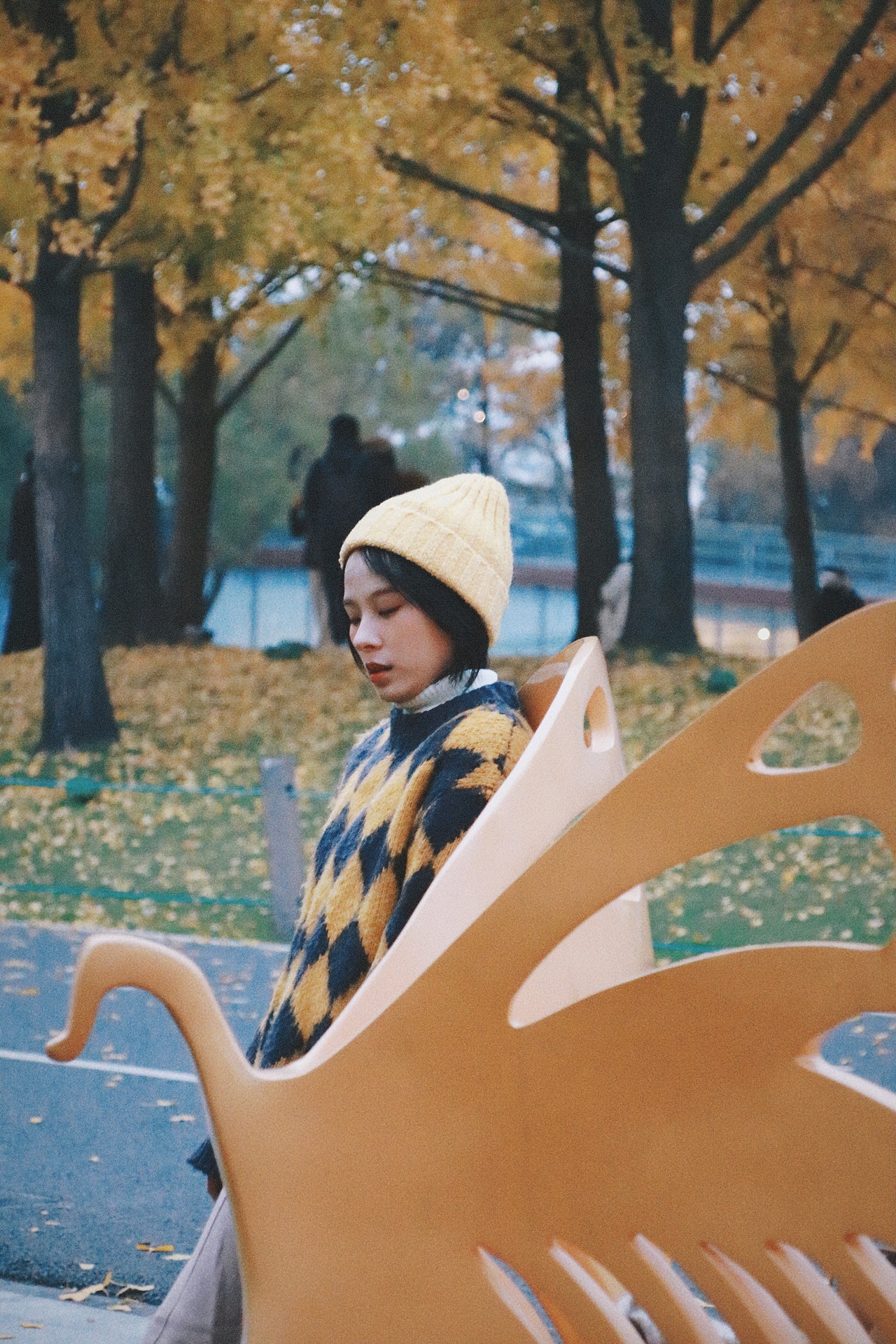 深秋的银杏大道