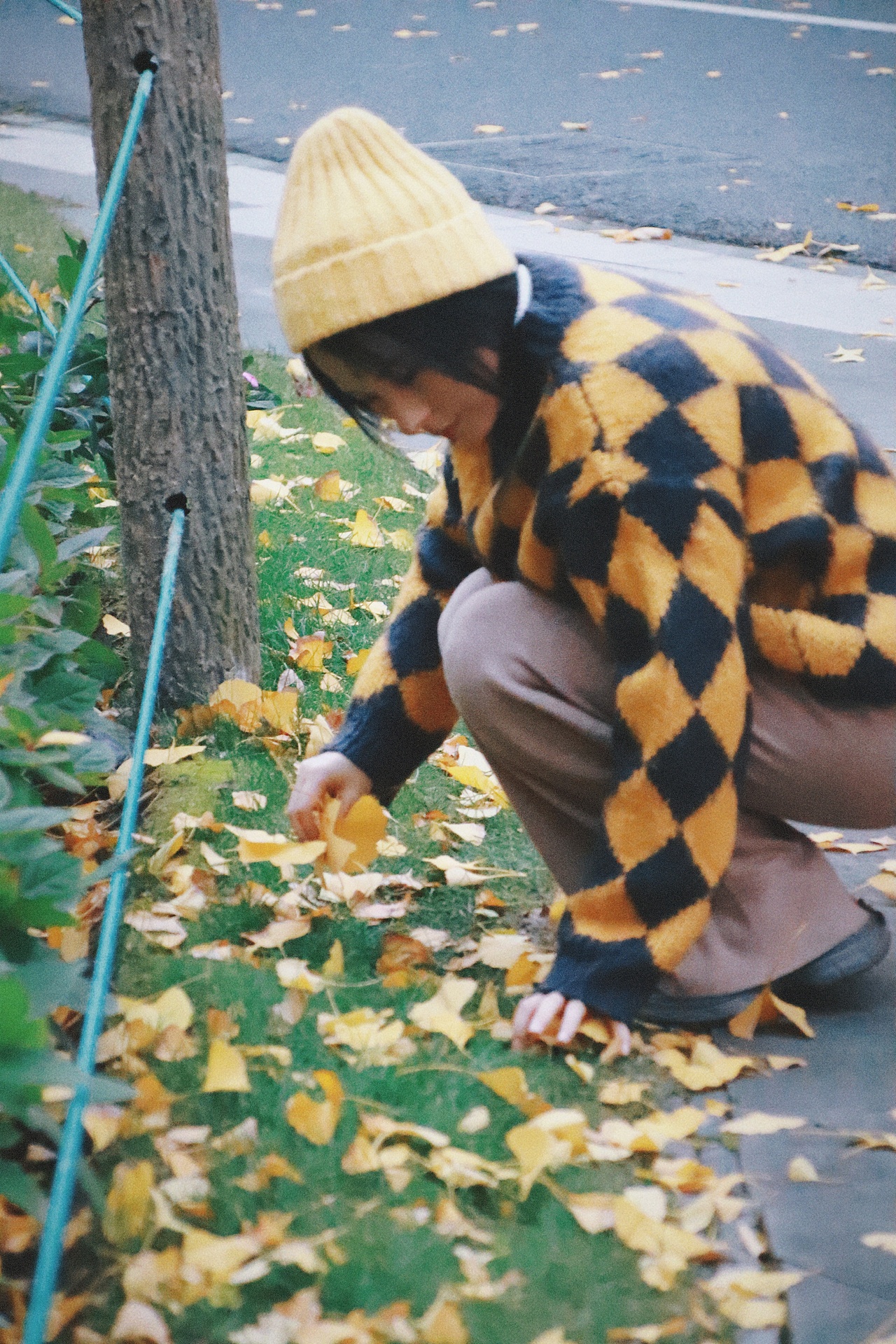 深秋的银杏大道