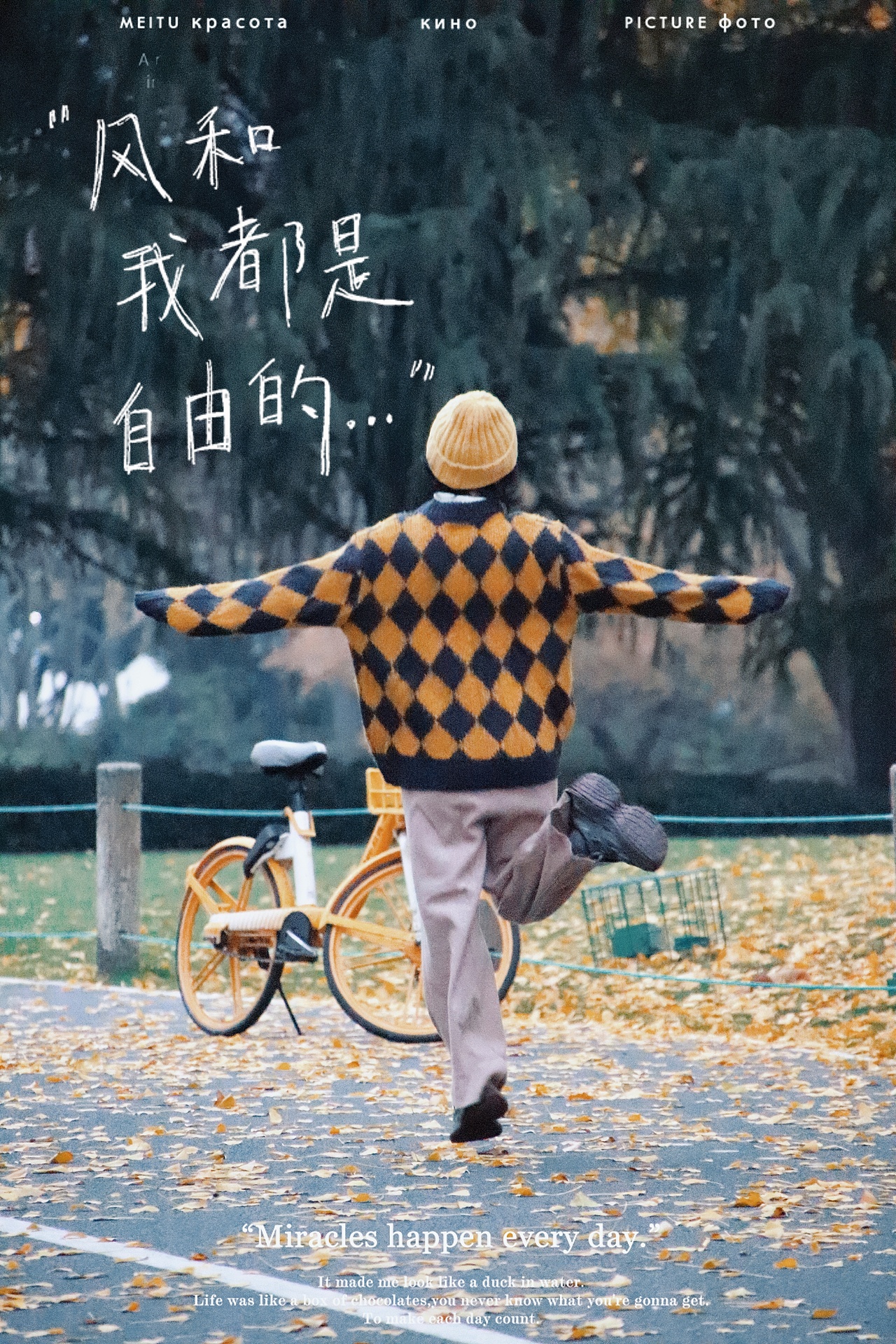 深秋的银杏大道