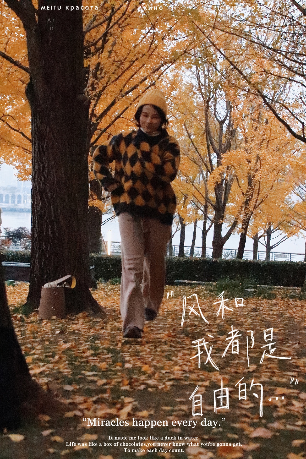 深秋的银杏大道