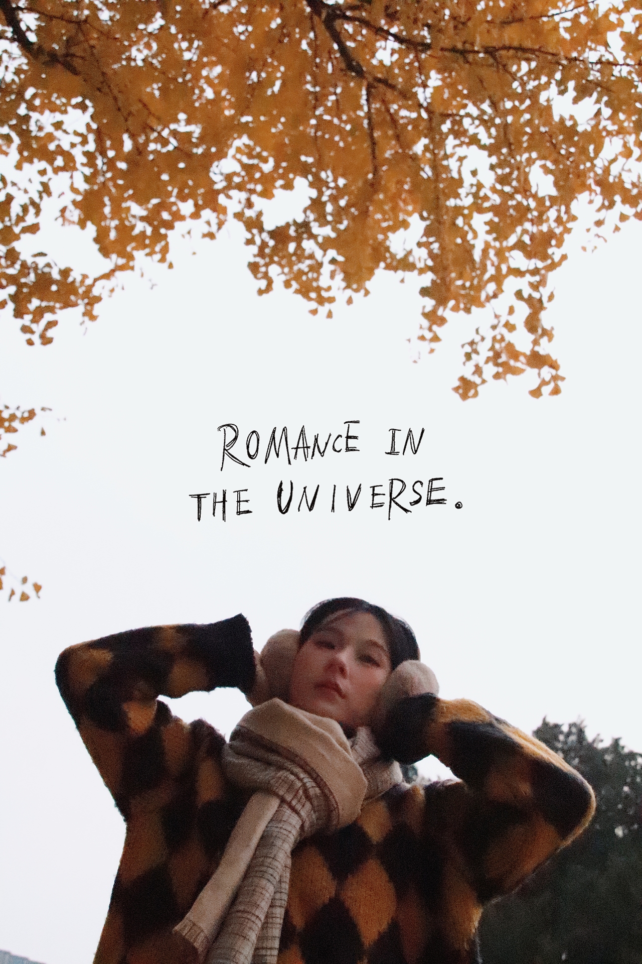 深秋的银杏大道