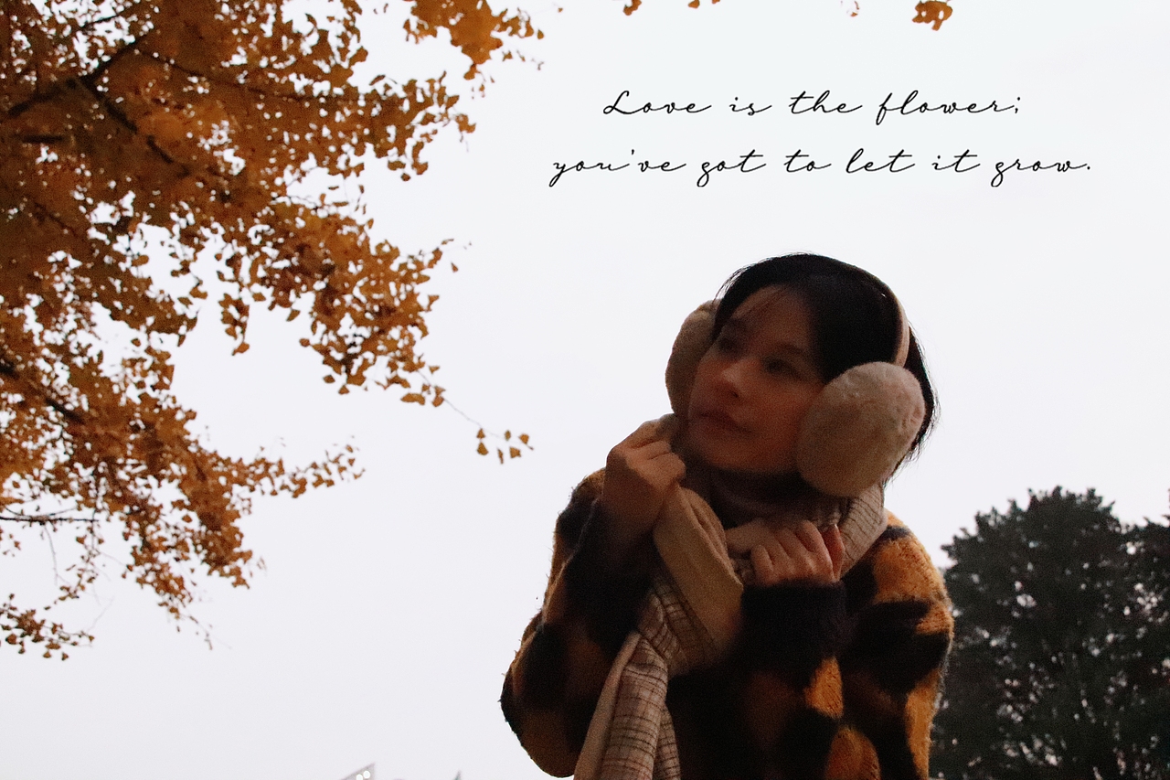 深秋的银杏大道