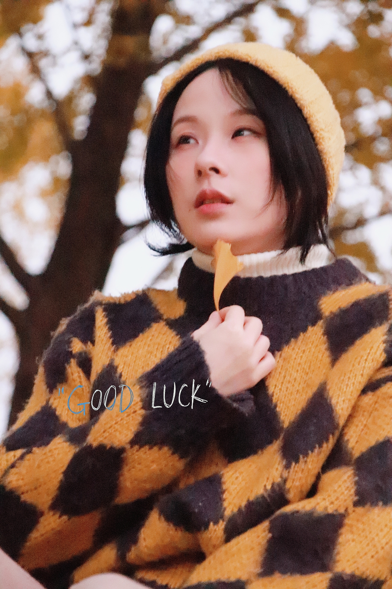 深秋的银杏大道