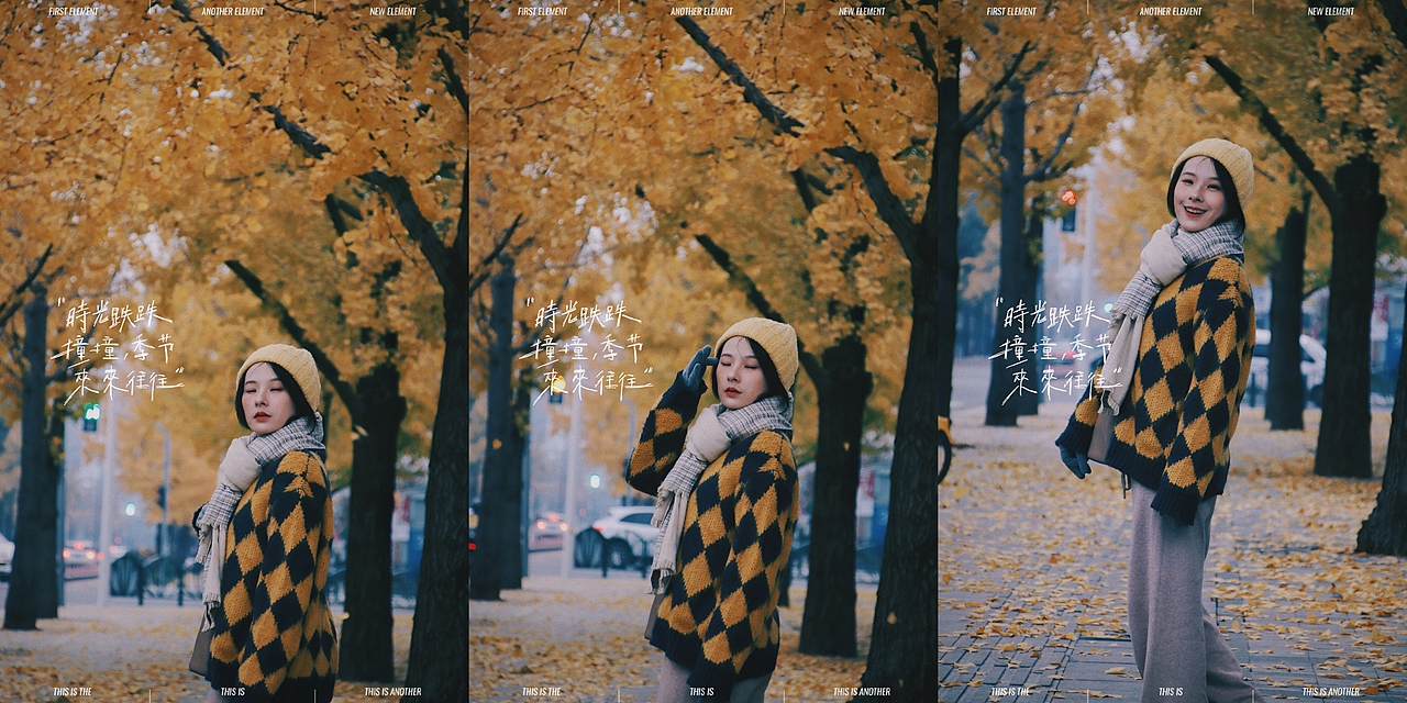 深秋的银杏大道