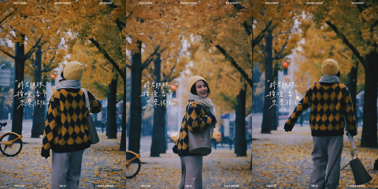 深秋的银杏大道