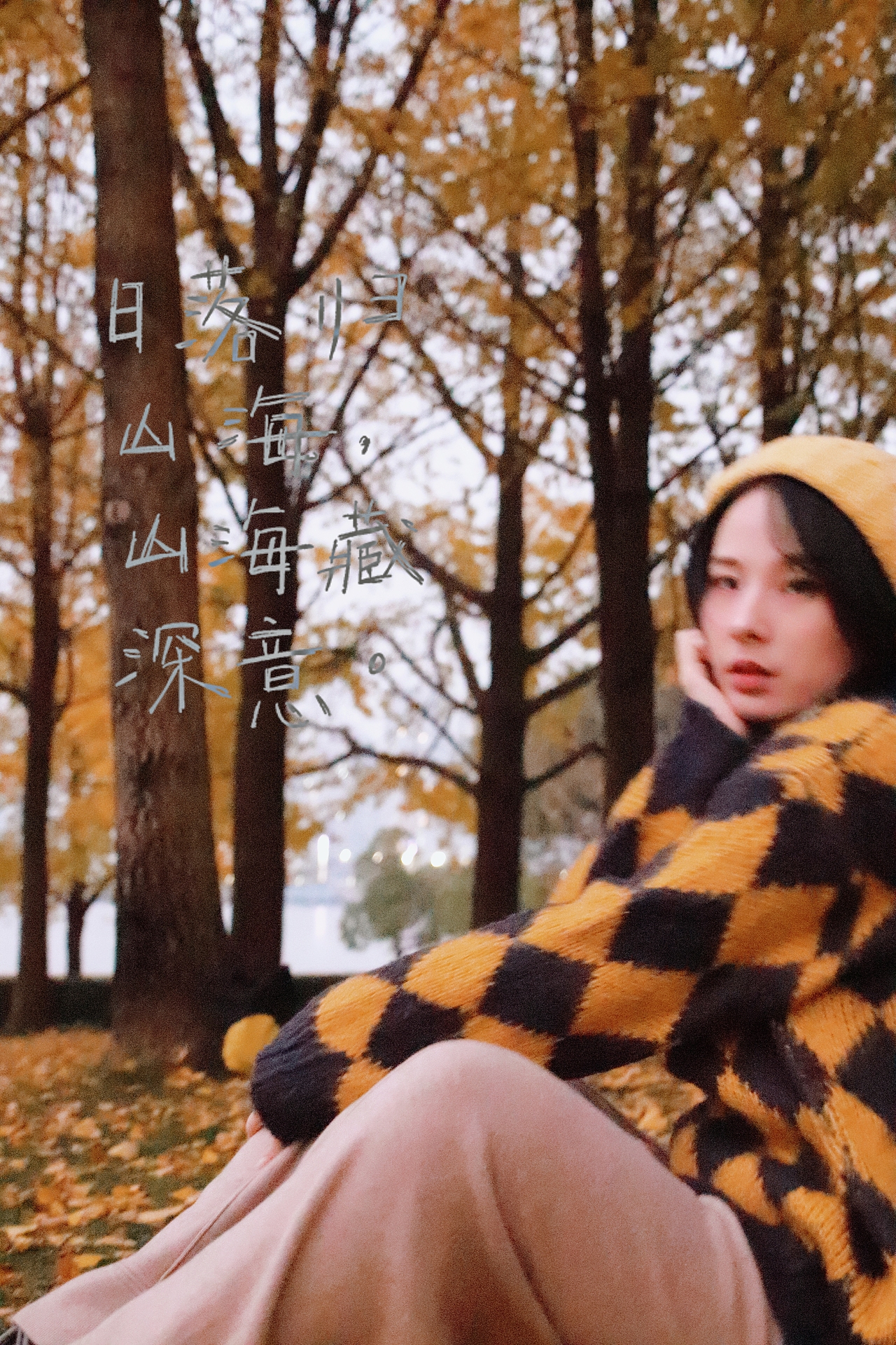 深秋的银杏大道