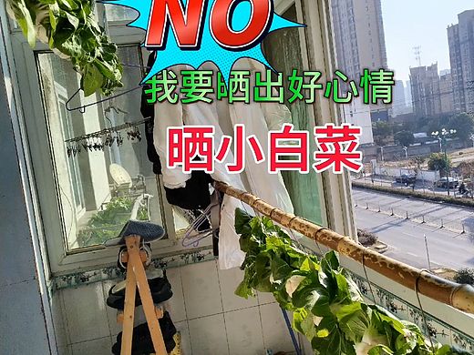 小白菜爱上小铁钩