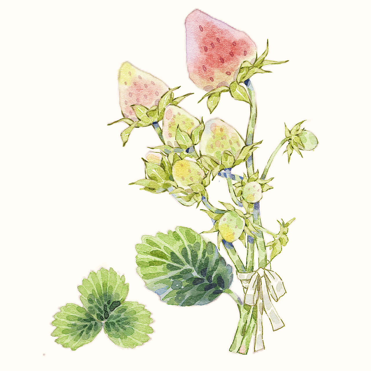 板绘胶带稿（图ZMzgzMjg5NzMy） - 商业插画 - 站酷设计师木子辰手绘原创素材 - 站酷ZCOOL