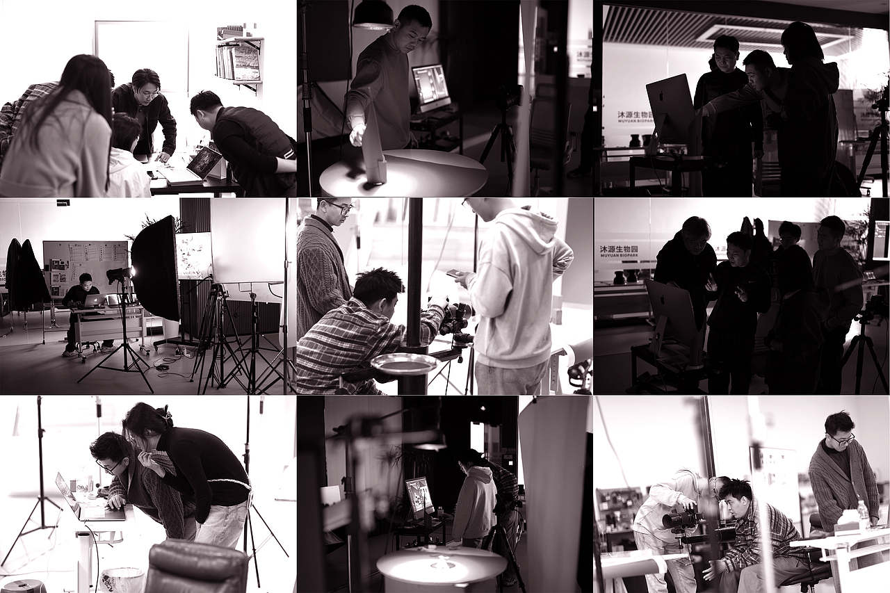 《认养一头牛》冰淇淋新品—焕新发布～！（图ZMzgzMzA4NTYw） - 产品摄影 - 站酷设计师集束平行原创素材 - 站酷ZCOOL