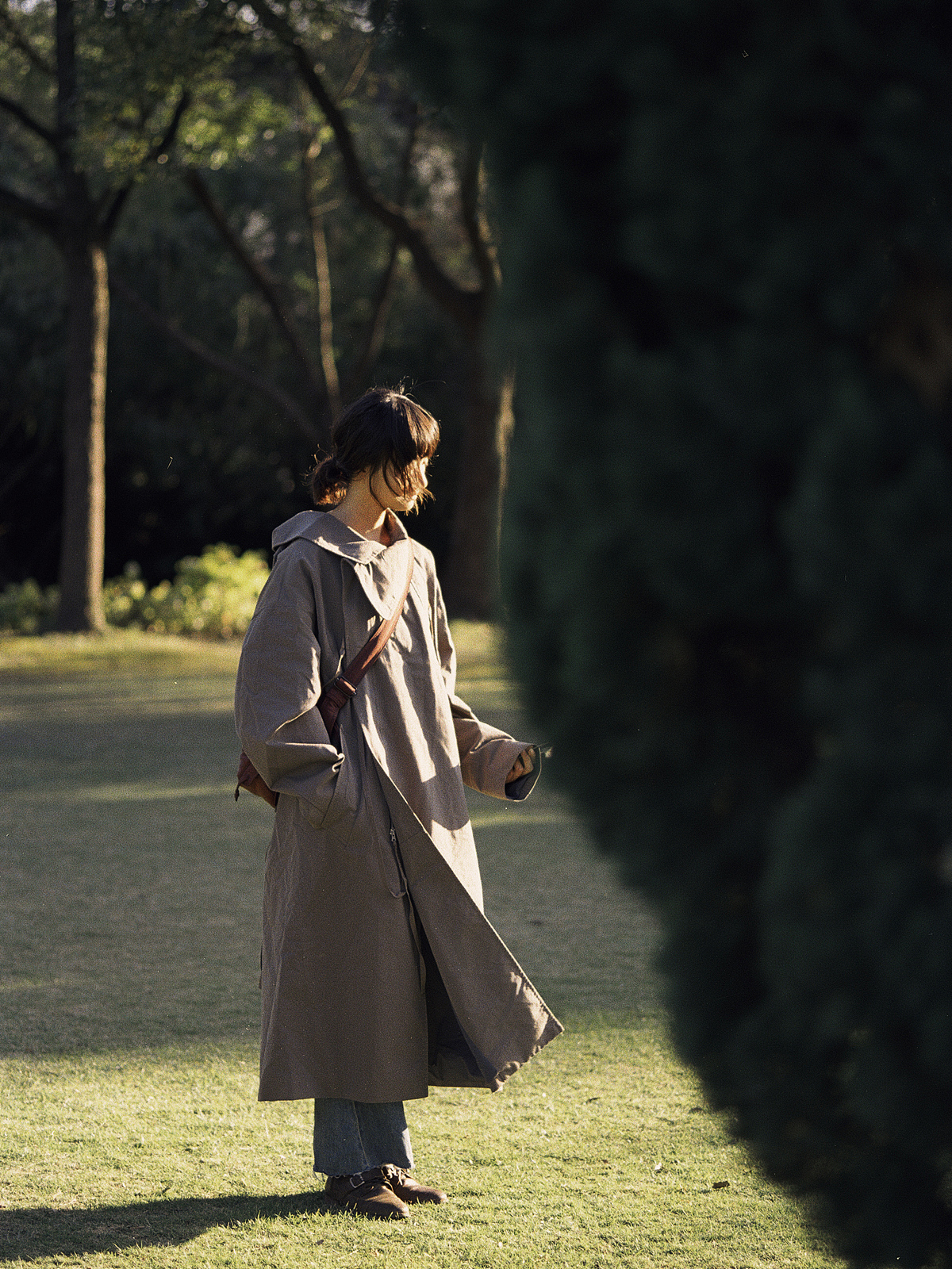 藏进冬天，做一场梦。