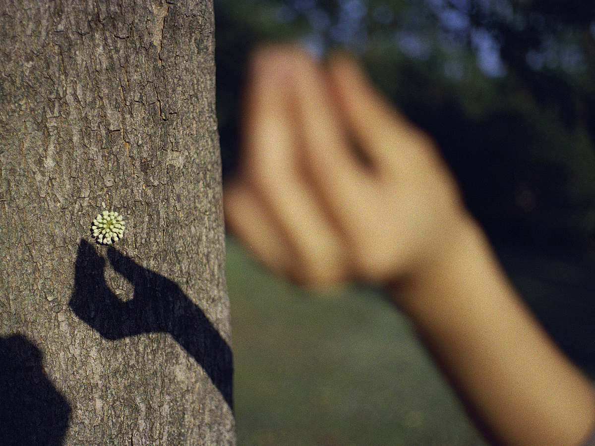 藏进冬天，做一场梦。