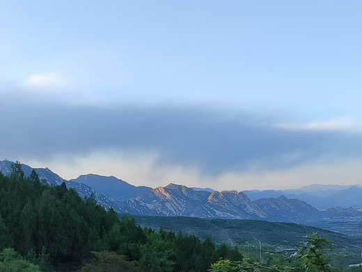 原始森林