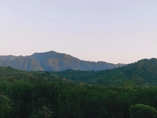 🏞️青山如画：层峦叠嶂的绿色风景线