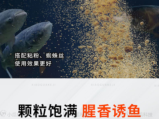 鱼饵