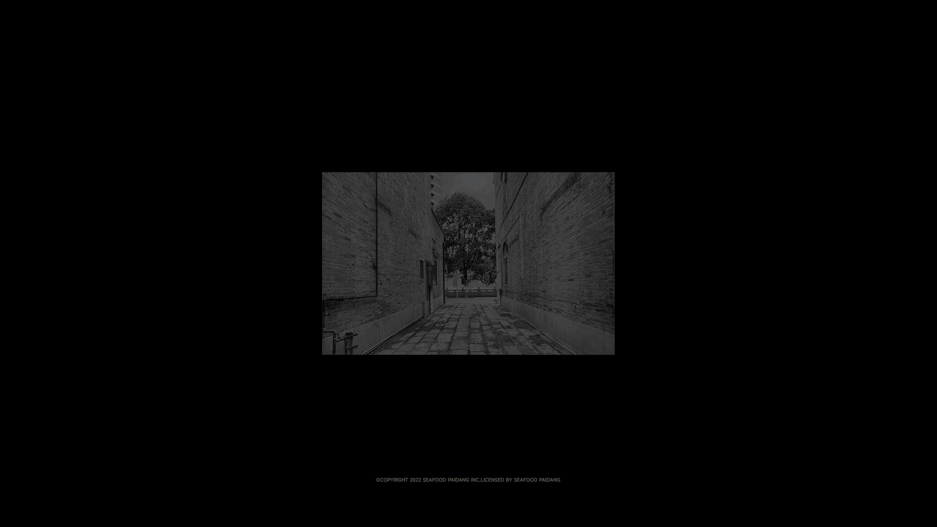 视觉形象设计｜巷口吹水海鲜大牌档╳鹊时设计编辑部