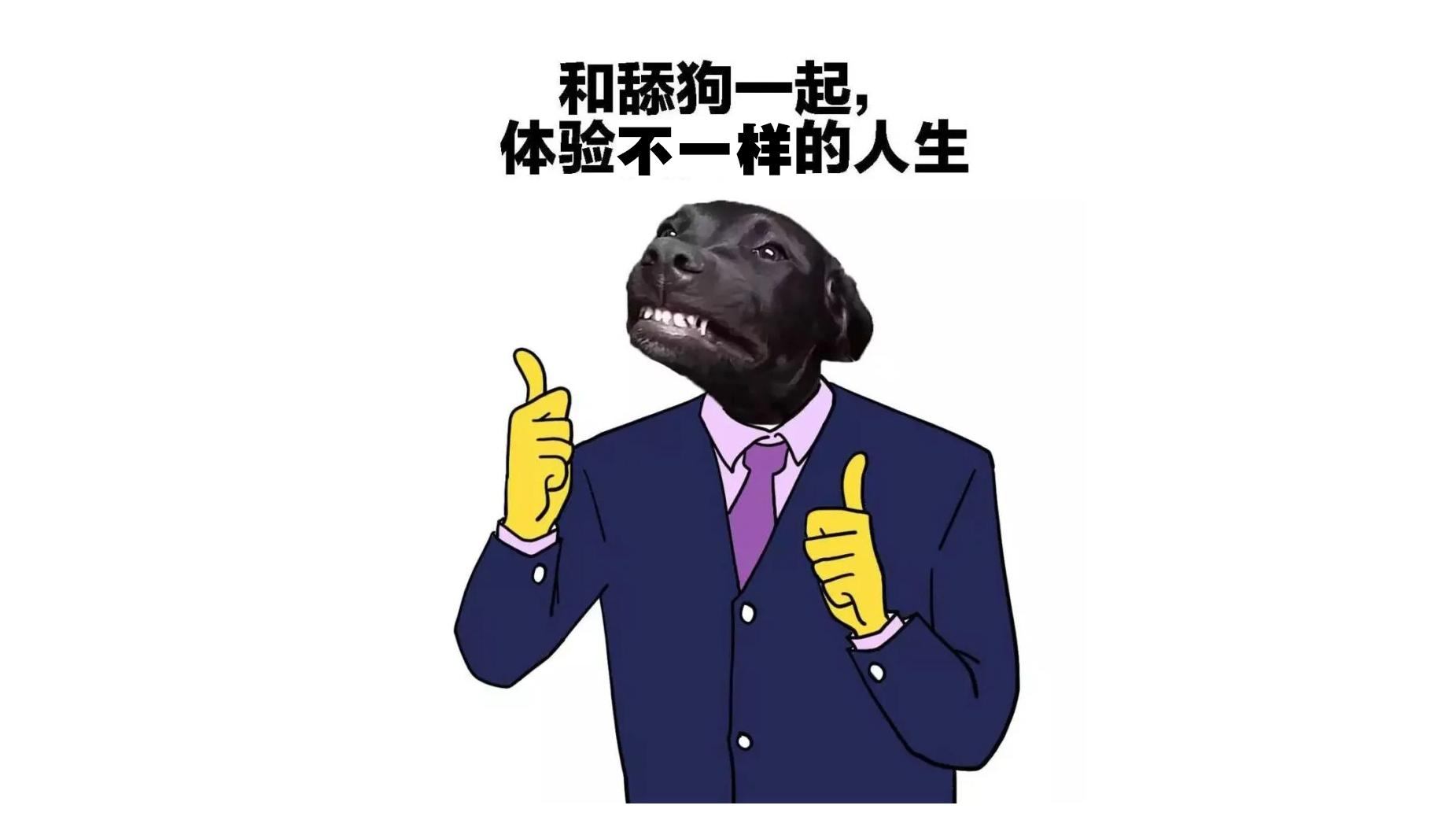 灰太狼的爺爺?shù)膫€(gè)人主頁（封面預(yù)覽） - 主頁封面設(shè)置 - 站酷設(shè)計(jì)師灰太狼的爺爺原創(chuàng)素材 - 站酷ZCOOL