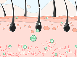 预防脱发动画|脱发科普动画|北京MG动画
