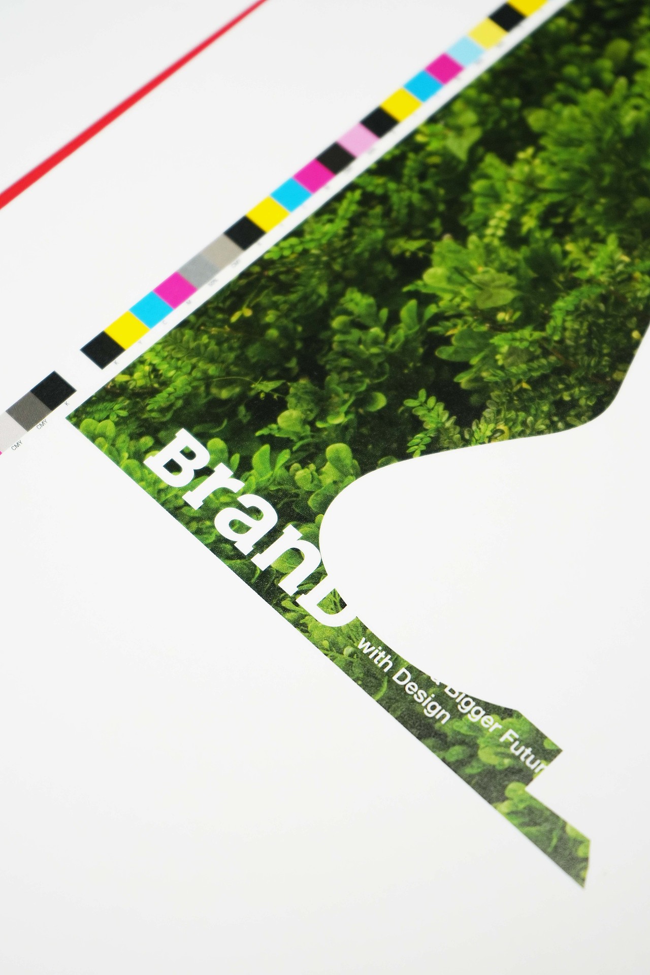 BranD ISSUE 76 自然字道:日本字体与自然