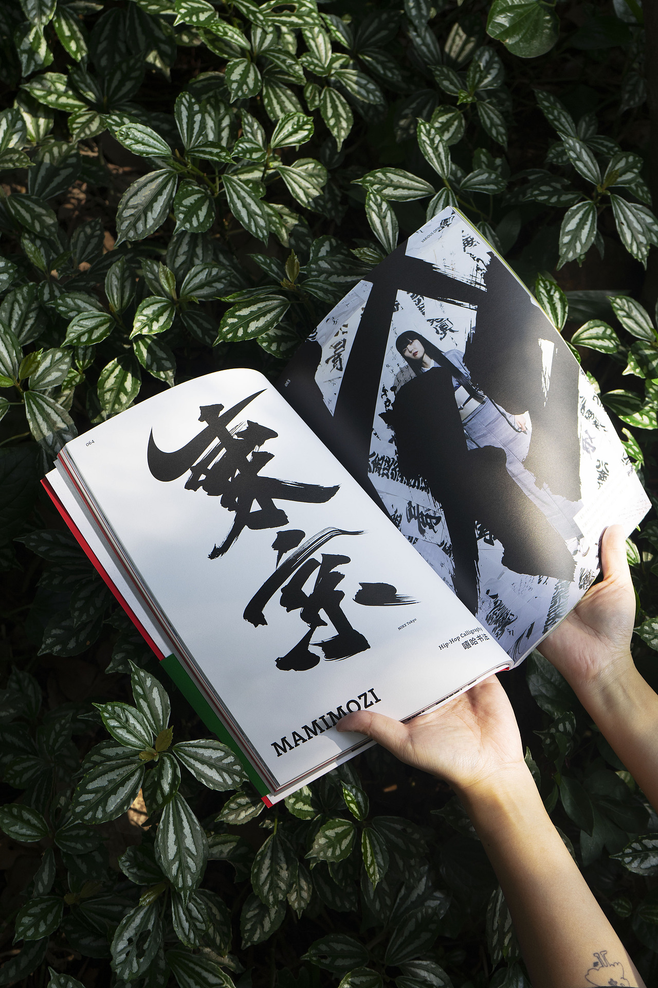 BranD ISSUE 76 自然字道:日本字体与自然(图ZMzgzMzc3MTU2) - 书籍/画册 - 站酷设计师赖宇杰原创素材 - 站酷ZCOOL
