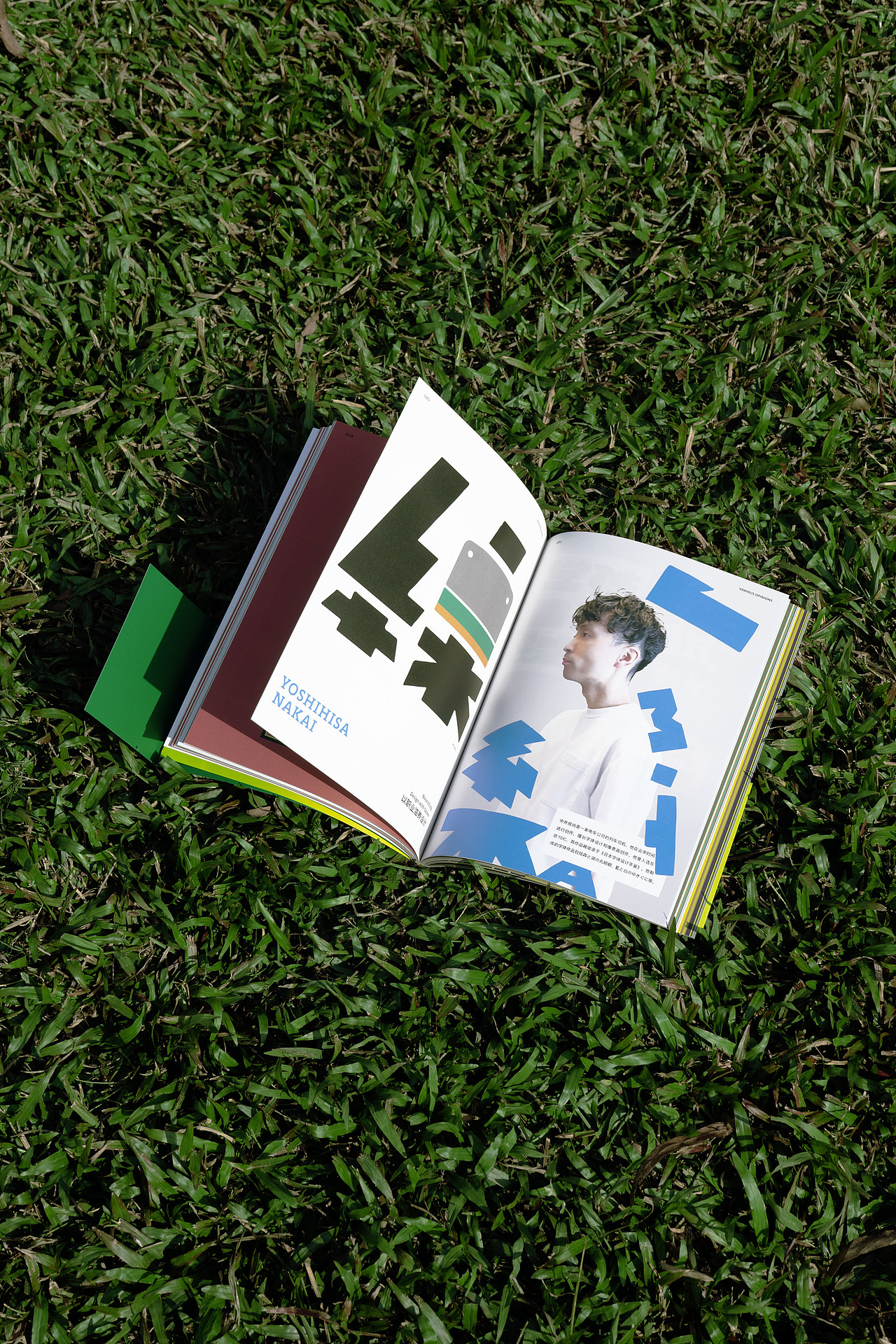 BranD ISSUE 76 自然字道:日本字体与自然
