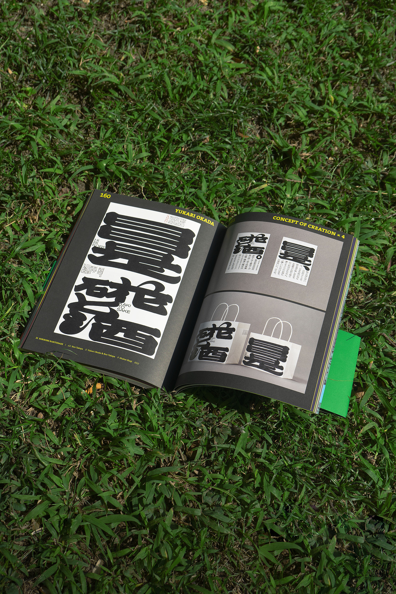 BranD ISSUE 76 自然字道:日本字体与自然