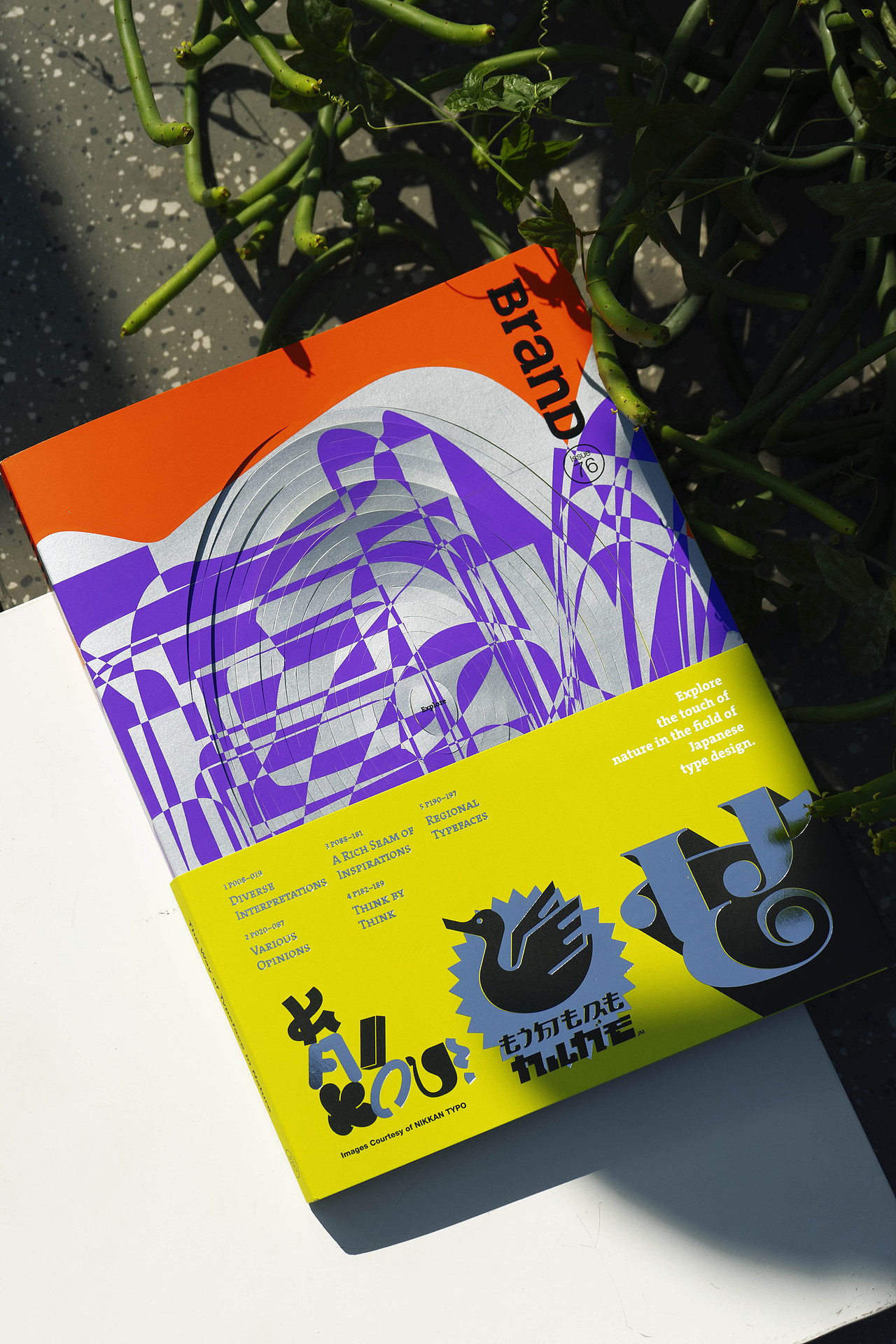 BranD ISSUE 76 自然字道:日本字体与自然