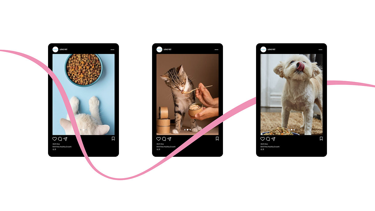 莱陪品牌设计 | 宠物行业品牌全案