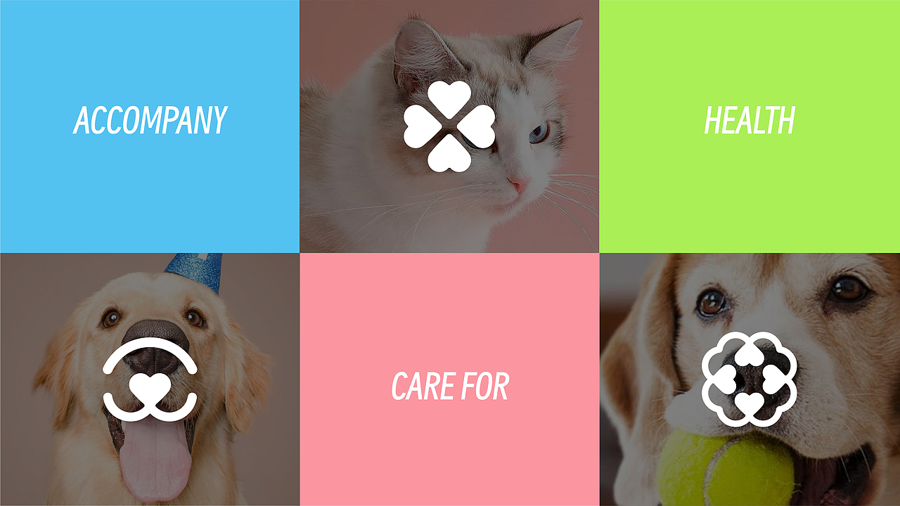 莱陪品牌设计 | 宠物行业品牌全案