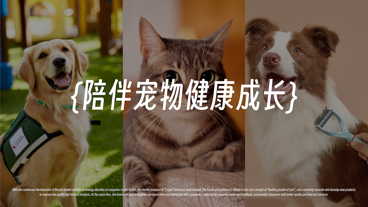 莱陪品牌设计 | 宠物行业品牌全案