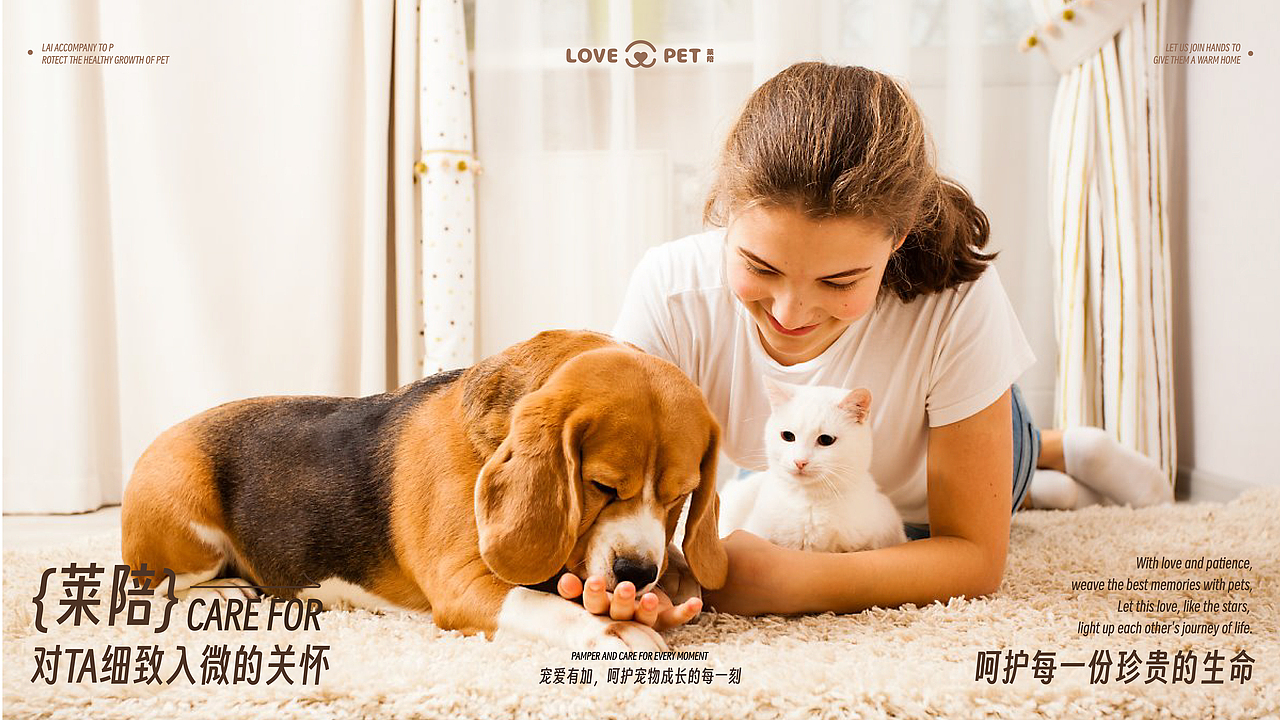 莱陪品牌设计 | 宠物行业品牌全案