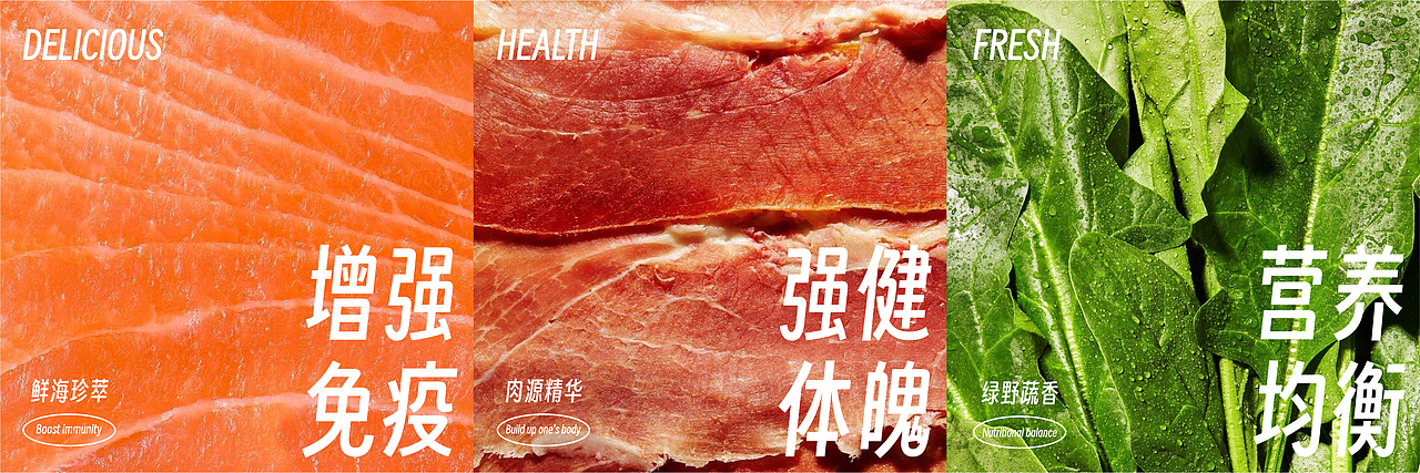 莱陪品牌设计 | 宠物行业品牌全案