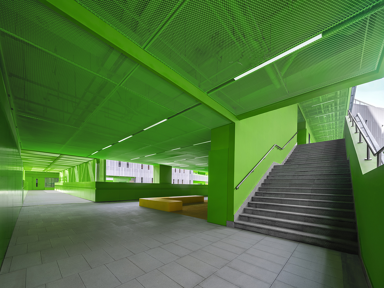 SD I 深圳市福田区福田中学