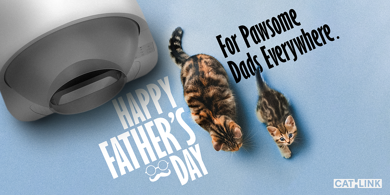 CATLINK海外品牌节日运营 2024年终总结（图ZMzgzNDM0MDc2） - 宣传物料 - 站酷设计师Manowar劉越原创素材 - 站酷ZCOOL