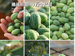 拇指西瓜|拇指西瓜拍摄|拇指西瓜图片|电商拍摄