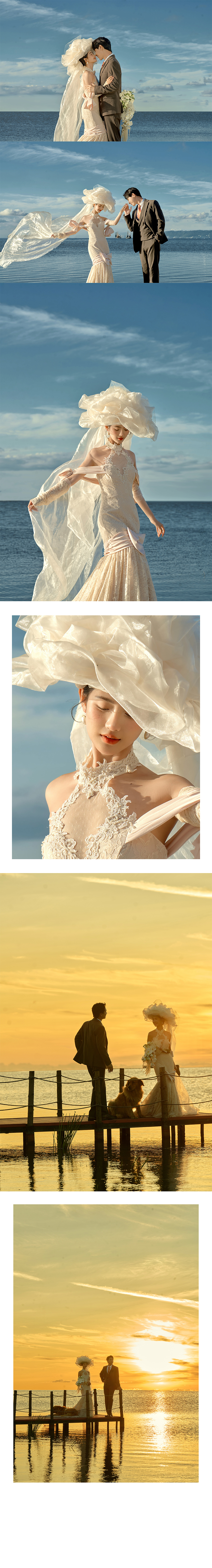 2024年度最佳作品盘点